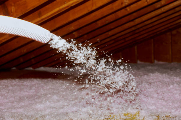 Professional Insulation Contractor in Trumansburg, NY